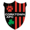 Corktown AFC(w) logo