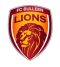 Bulleen Lions U23 logo