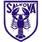 salkova logo