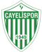 Cayelispor logo