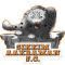 Aakraman XI logo