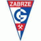 Gornik Zabrze Youth logo