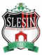 LKS Slesin logo