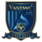 Sejong Vanesse FC logo