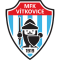 Vitkovice logo