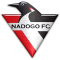 Nadogo FC logo