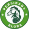 Persikaba Blora logo