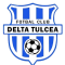 Delta Tulcea U19 logo