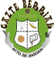 CF Gazte Berriak U19 logo