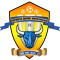 Mpheni Home Defenders logo